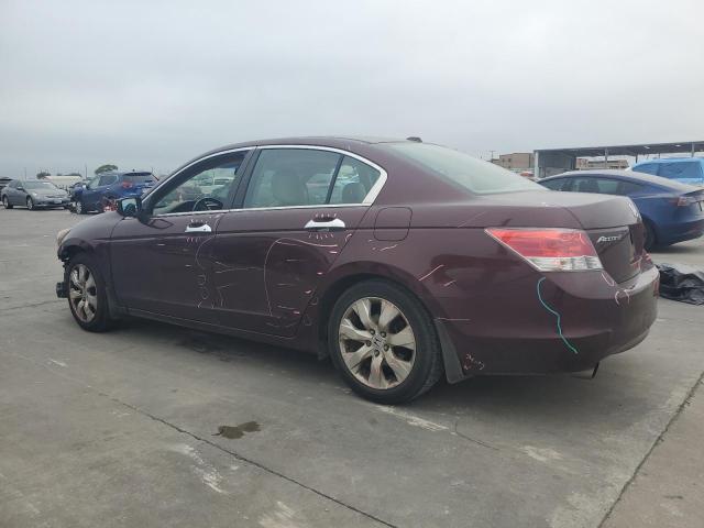 2010 HONDA ACCORD EXL - 5KBCP3F87AB004221