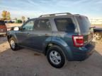 Lot #3024356553 2012 FORD ESCAPE XLT