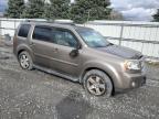 HONDA PILOT EXL photo