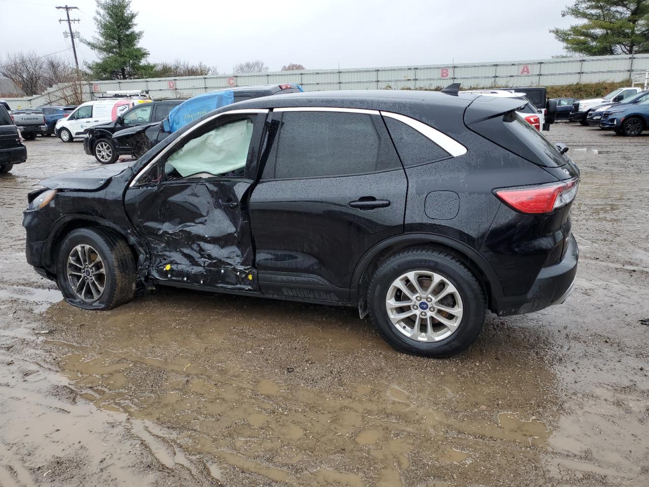 Lot #3024944374 2021 FORD ESCAPE SE