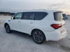 INFINITI QX80 LUXE снимка