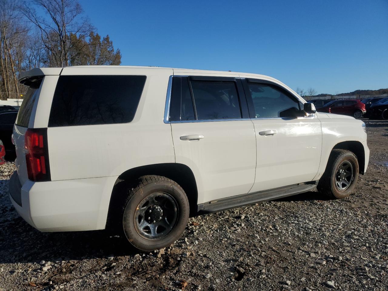 Lot #3003173678 2019 CHEVROLET TAHOE POLI