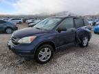 Lot #3027153283 2010 HONDA CR-V EX