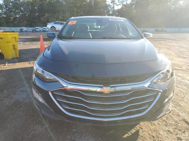 2019 CHEVROLET MALIBU LT - 1G1ZD5ST0KF149517