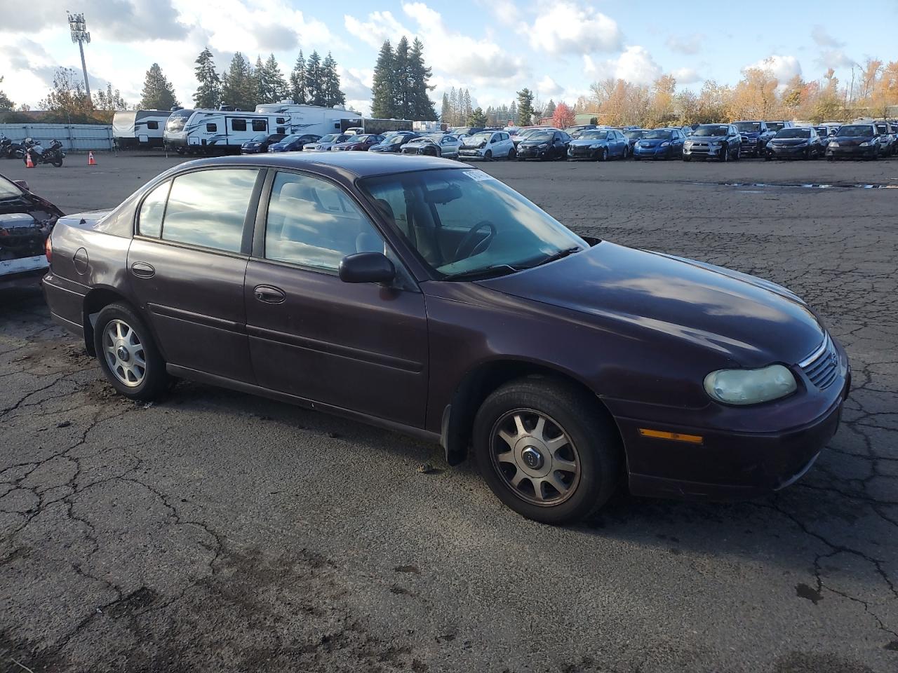 Lot #3029667073 1998 CHEVROLET MALIBU LS