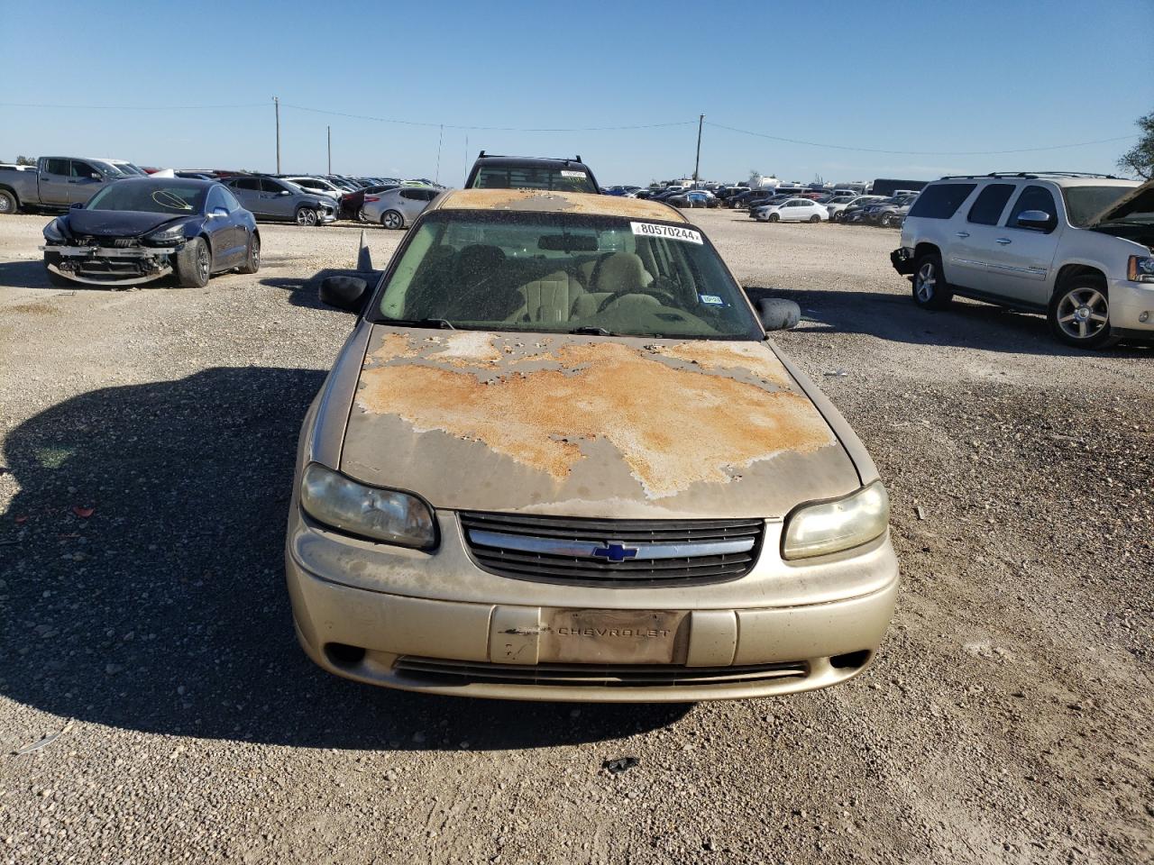 Lot #2977056900 2003 CHEVROLET MALIBU