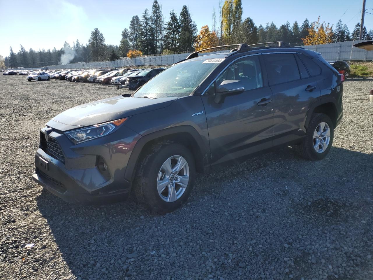 Lot #3033052991 2021 TOYOTA RAV4 XLE