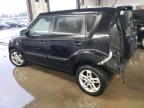 KIA SOUL + photo