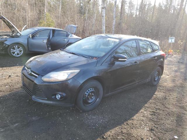 Vin: 1fadp3k25dl205725, lot: 79721054, ford focus se 2013 img_1