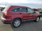 HONDA CR-V EX photo