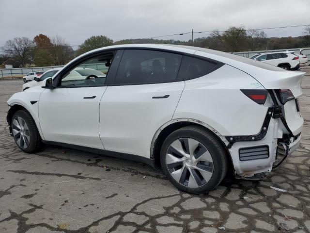 TESLA MODEL Y 2021 white  electric 5YJYGDEE1MF245536 photo #3