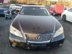 Lot #2991137368 2008 LEXUS ES 350