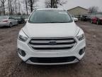 Lot #3020253494 2017 FORD ESCAPE SE