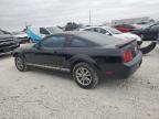 Lot #2965522202 2005 FORD MUSTANG