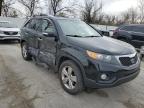 Lot #3025040279 2013 KIA SORENTO EX