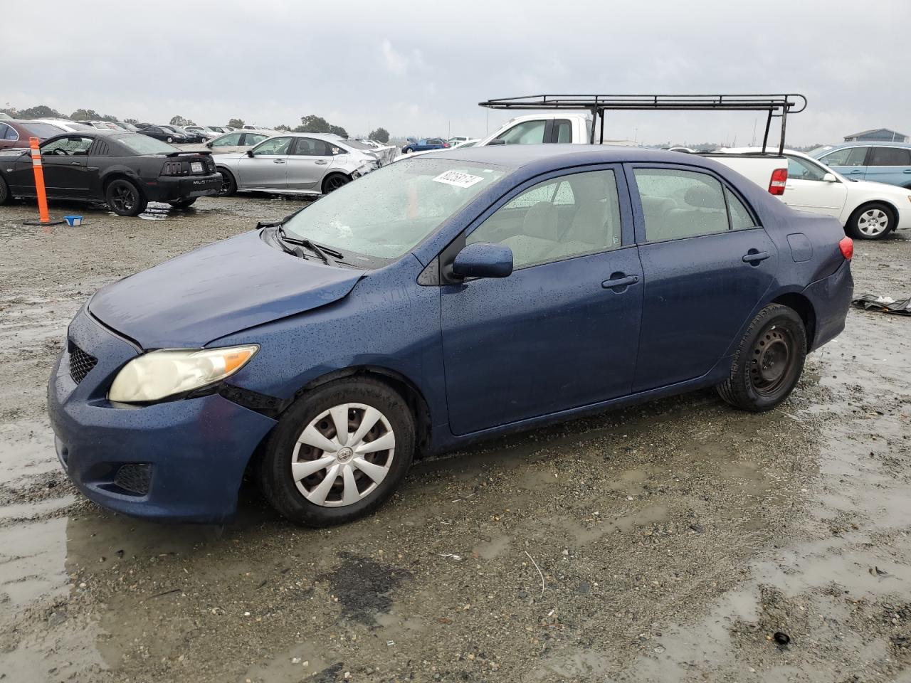 Lot #2989463582 2009 TOYOTA COROLLA BA