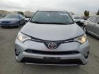 TOYOTA RAV4 XLE photo