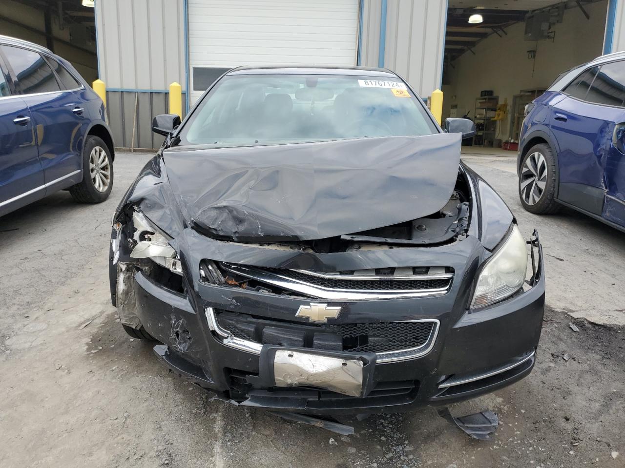 Lot #3029664077 2008 CHEVROLET MALIBU 1LT