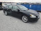 Lot #3023650968 2012 NISSAN MAXIMA S