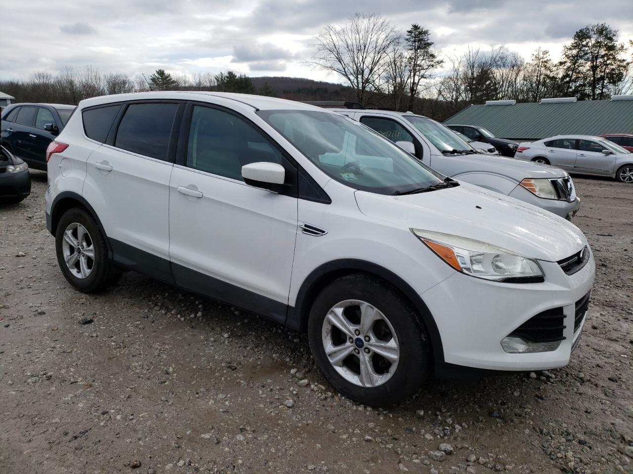 Lot #3030518472 2014 FORD ESCAPE SE