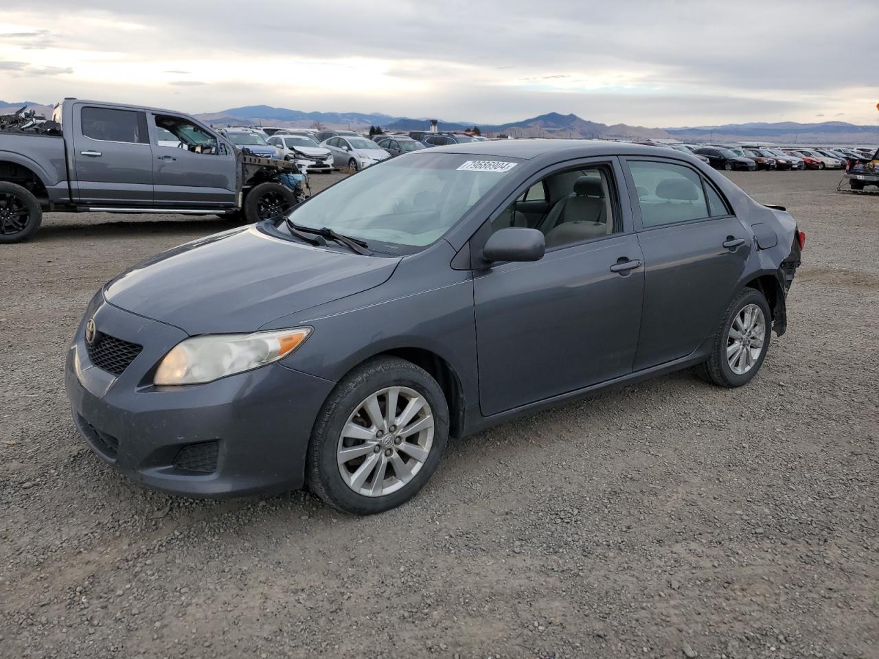 Lot #3021081207 2009 TOYOTA COROLLA BA