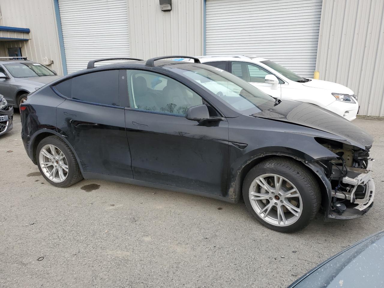 Lot #2989373671 2021 TESLA MODEL Y