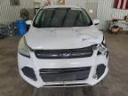 Lot #3023123220 2016 FORD ESCAPE SE