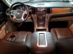 Lot #3023967206 2014 CADILLAC ESCALADE P