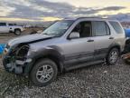 Lot #3024505430 2003 HONDA CR-V EX