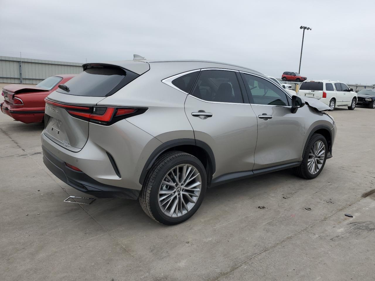 Lot #2970024930 2025 LEXUS NX 350 PRE