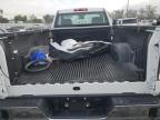 Lot #3024344613 2024 CHEVROLET SILVERADO