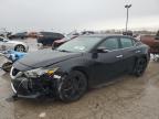 2016 NISSAN MAXIMA 3.5 - 1N4AA6AP3GC420169