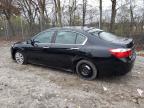 Lot #3023823907 2014 HONDA ACCORD EXL