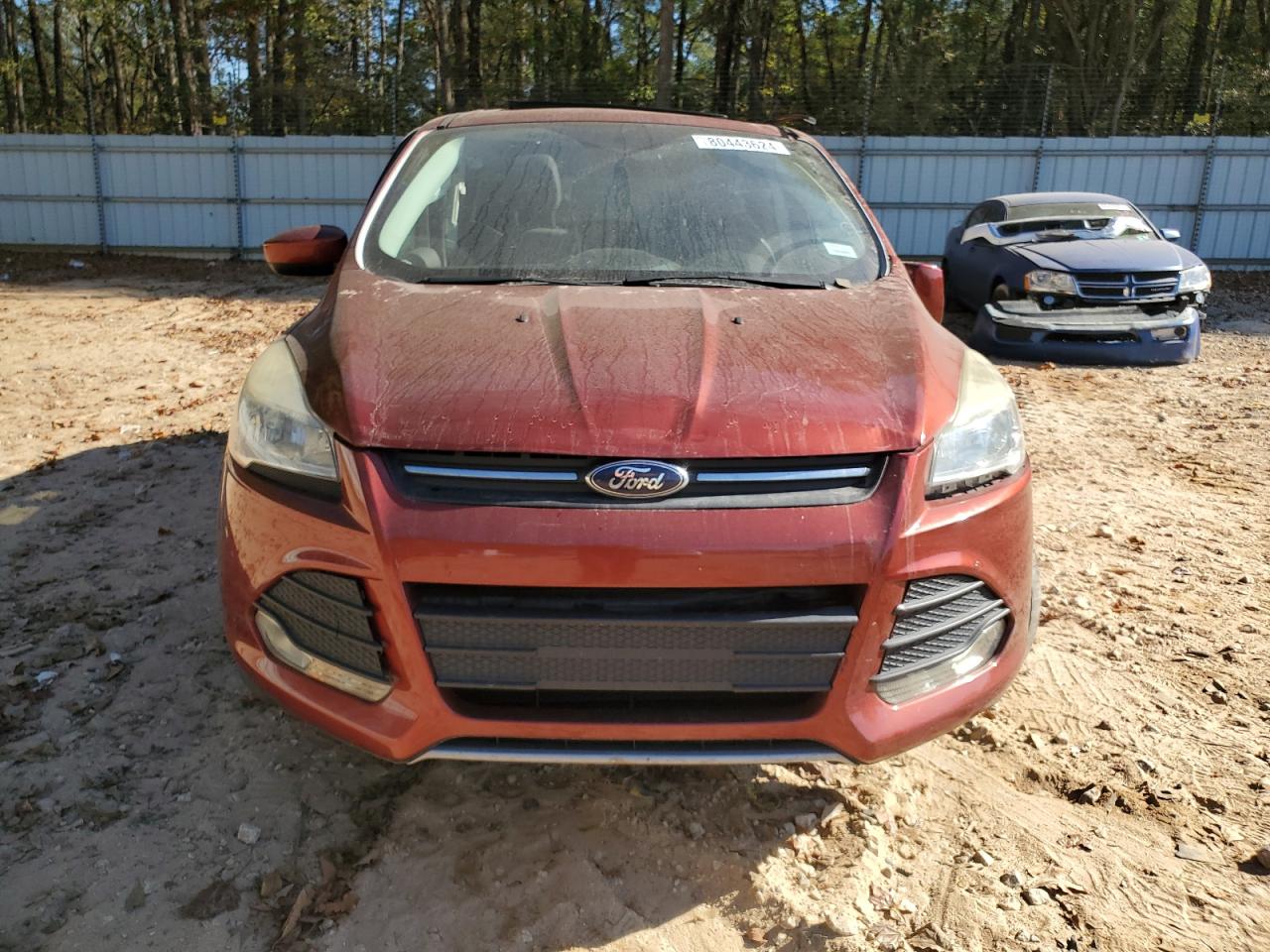 Lot #3034269098 2014 FORD ESCAPE SE