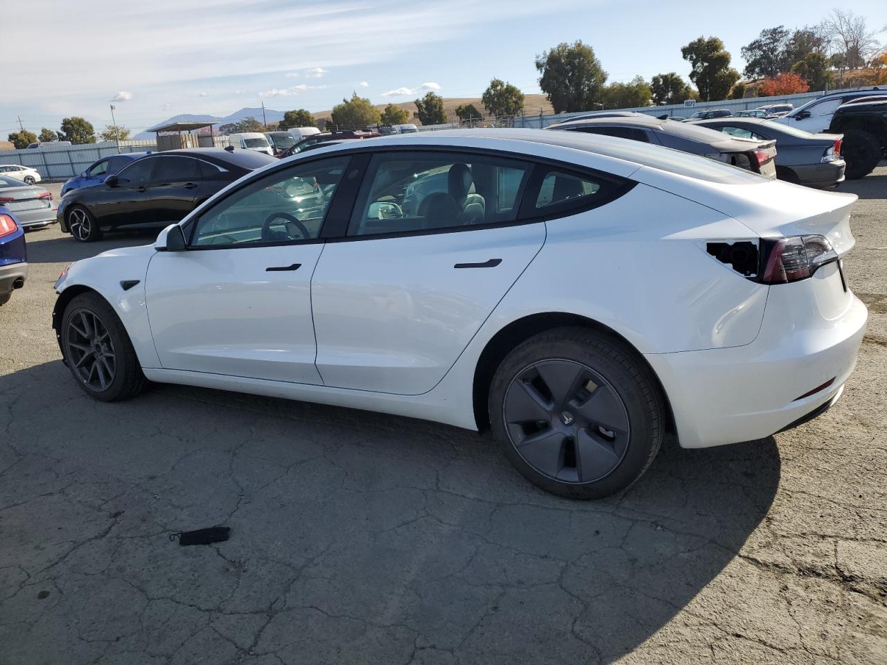 Lot #2991866243 2023 TESLA MODEL 3