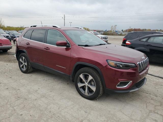 2019 JEEP CHEROKEE L - 1C4PJMDN4KD179809