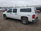 Lot #3030524471 2011 CHEVROLET 1500 SILVE