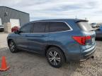 HONDA PILOT EXLN photo