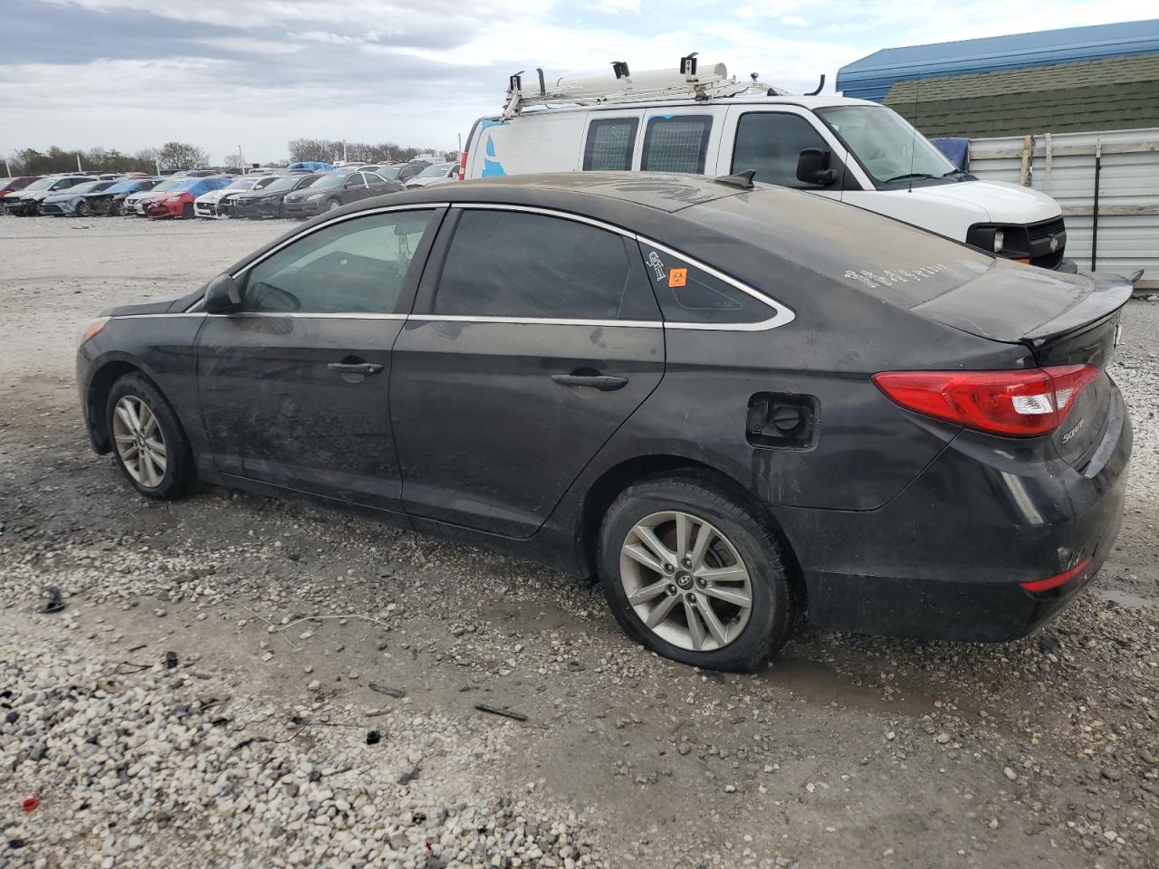 Lot #2977031631 2015 HYUNDAI SONATA SE