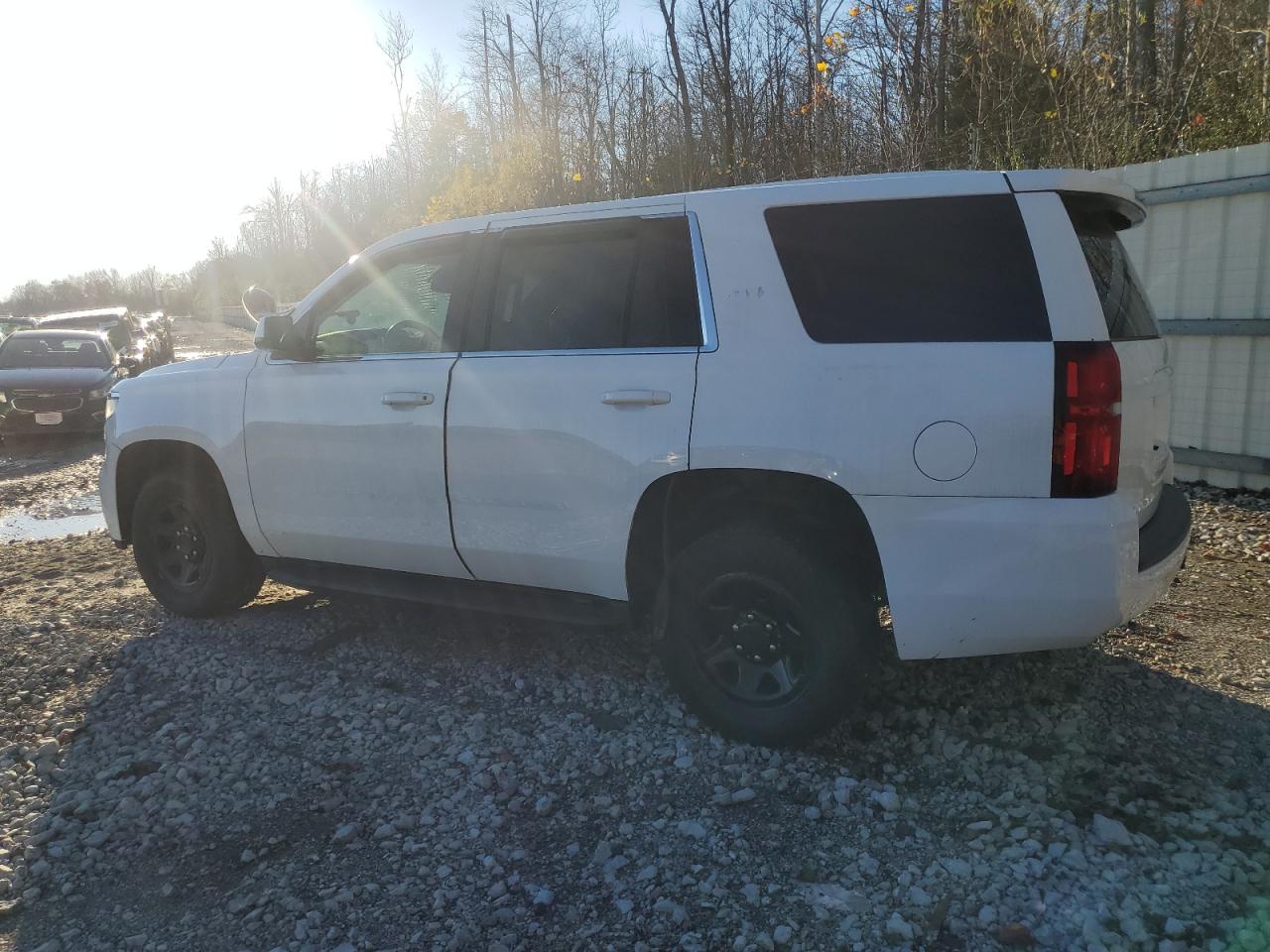 Lot #3003173678 2019 CHEVROLET TAHOE POLI