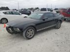 Lot #2965522202 2005 FORD MUSTANG