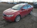 KIA FORTE EX photo