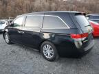 HONDA ODYSSEY EX photo