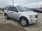 Lot #3023725919 2010 FORD ESCAPE XLT