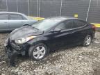 Lot #3024591572 2013 HYUNDAI ELANTRA GL