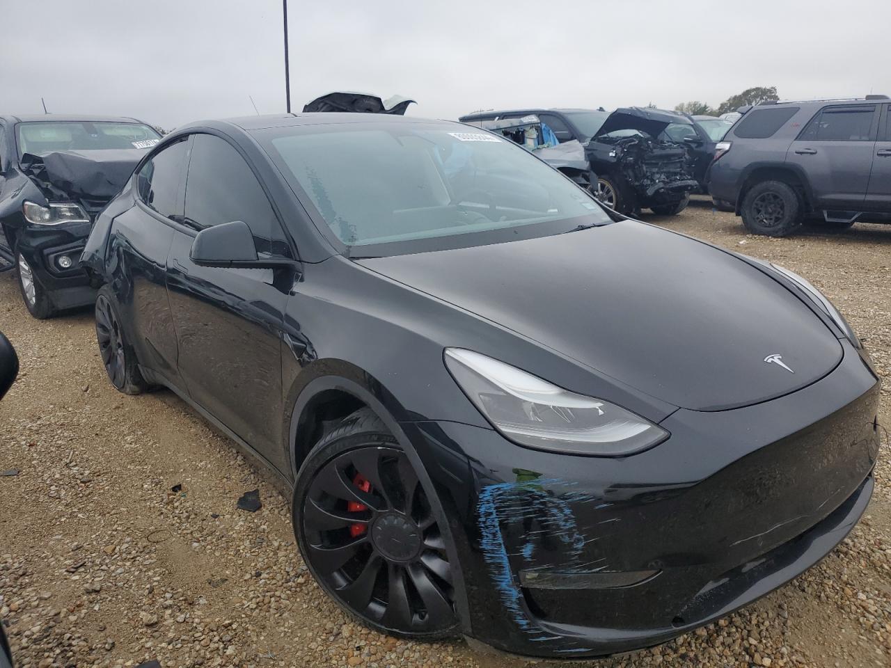 Lot #2988864650 2022 TESLA MODEL Y