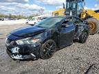 2017 NISSAN MAXIMA 3.5 - 1N4AA6AP3HC415894