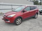 Lot #3024733275 2014 FORD ESCAPE TIT