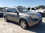 HONDA PILOT EXL photo