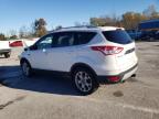 Lot #3024654609 2015 FORD ESCAPE TIT